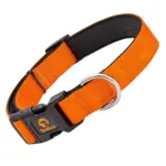 Tomkas Dog collars Cat collars (Orange)