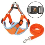 Tomkas Animal harnesses & Animal leashes , Dog leashes , Harness straps , Leads for animals (Orange)